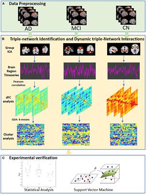 A Triple-Network Dynamic Connection Study in Alzheimer's Disease